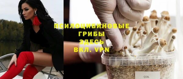 spice Протвино