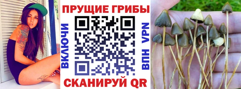 Галлюциногенные грибы ЛСД  сколько стоит  Нижний Новгород 
