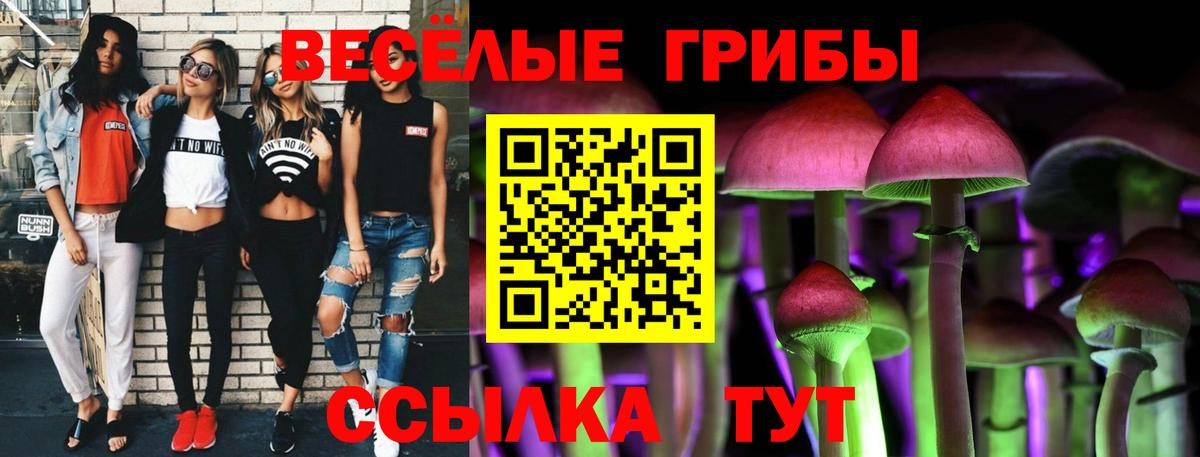 Псилоцибиновые грибы прущие грибы  Вход с VPN  Нижний Новгород 